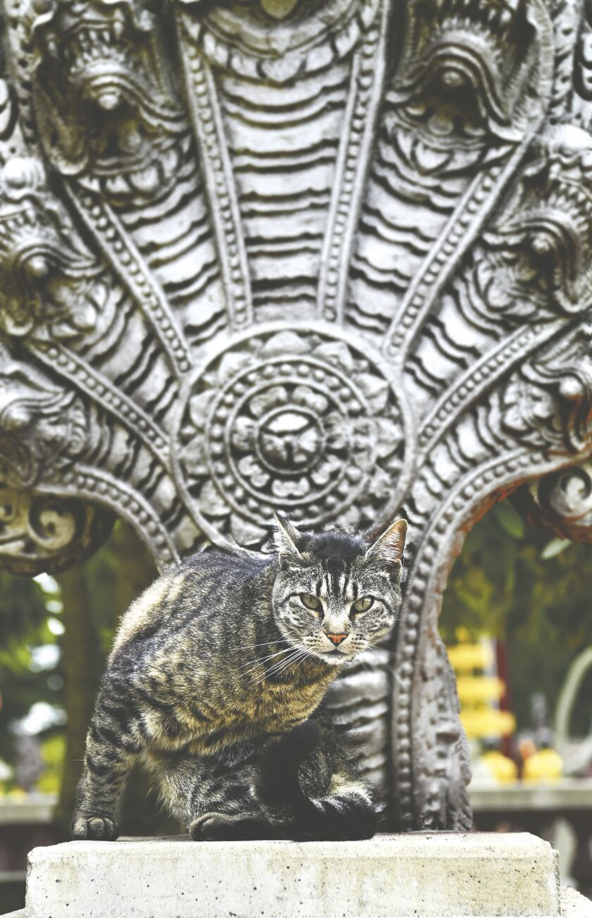 200730.life.buddhisttemple.pd5.jpg